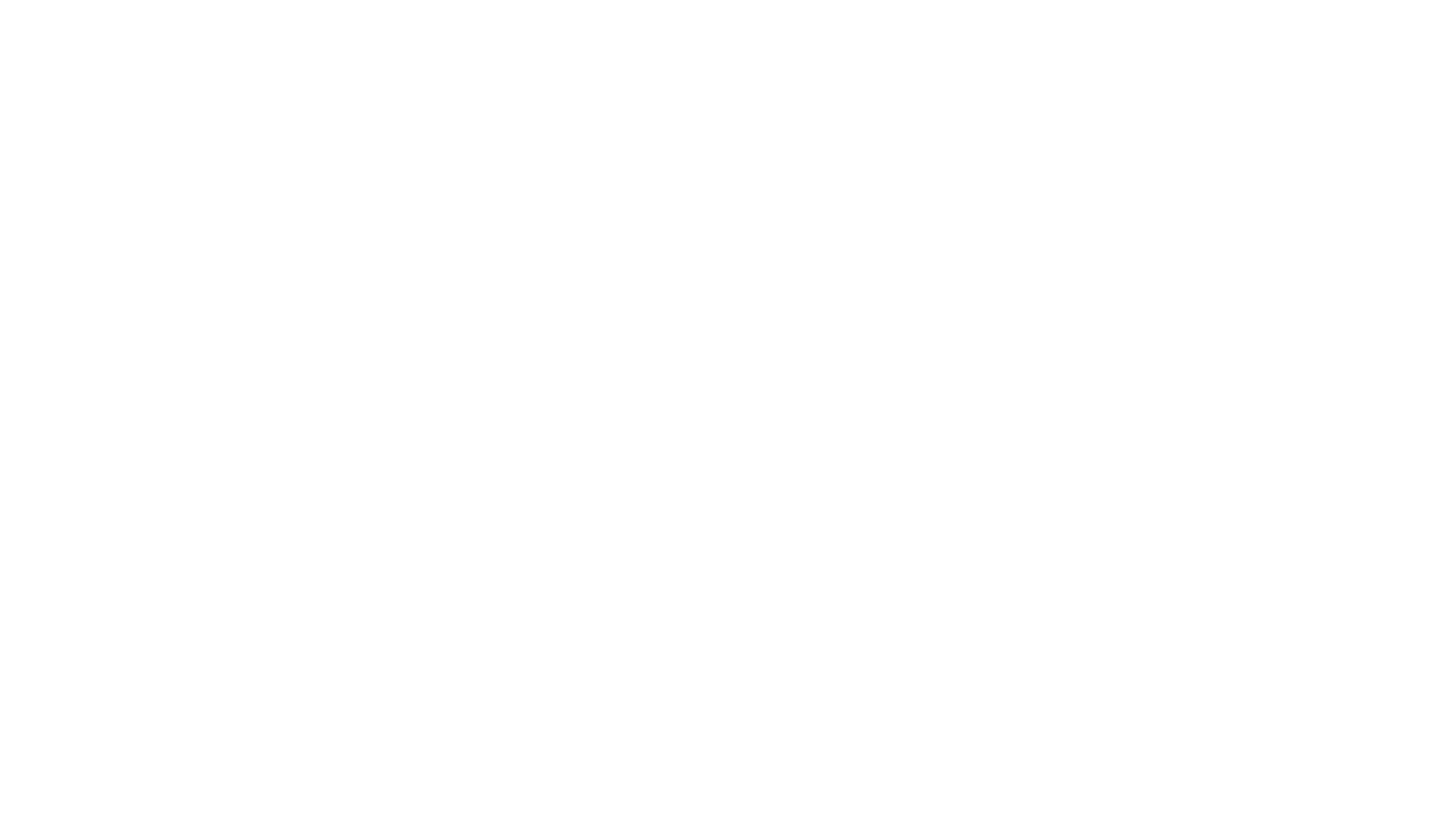 ZILUX-Logo-2026.ai